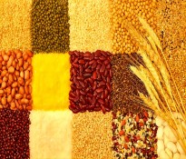 ϣҵ 2025-2027 ֣CR5  + ȫҵ֣ҵƾ·ɶѯ˾